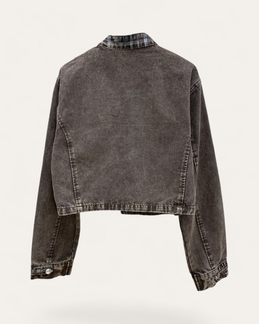 24819_BROWN