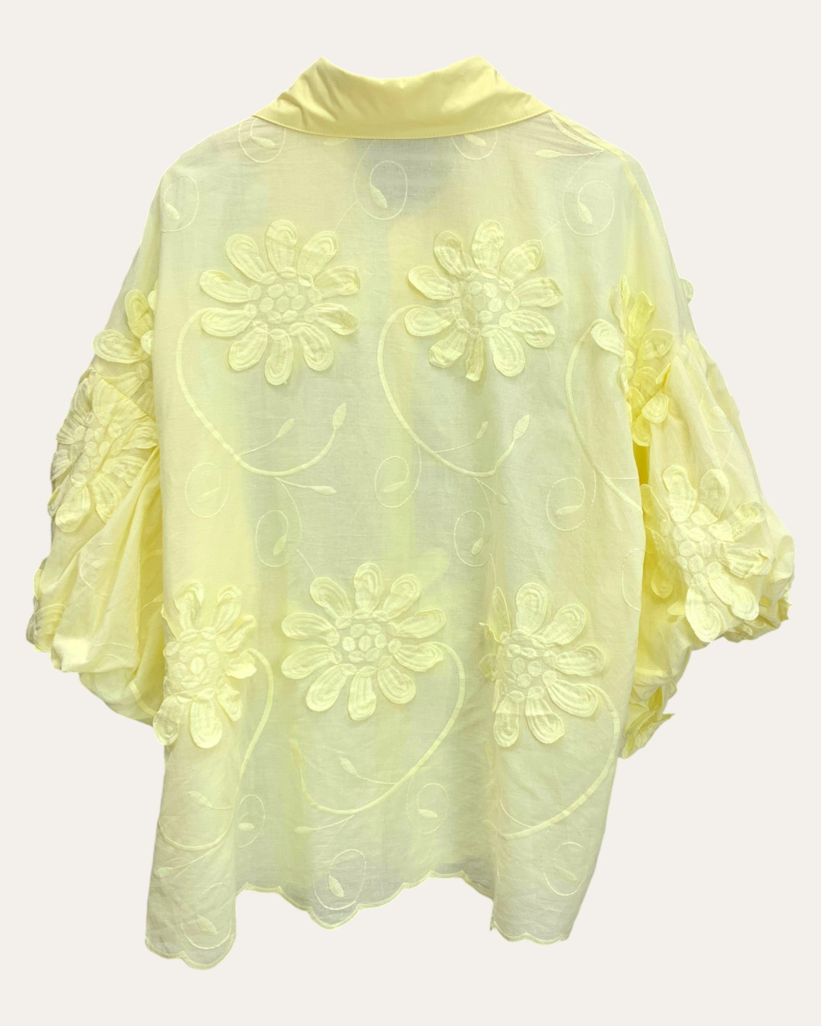Radiant Floral Embroidered Blouse with Beaded Collar