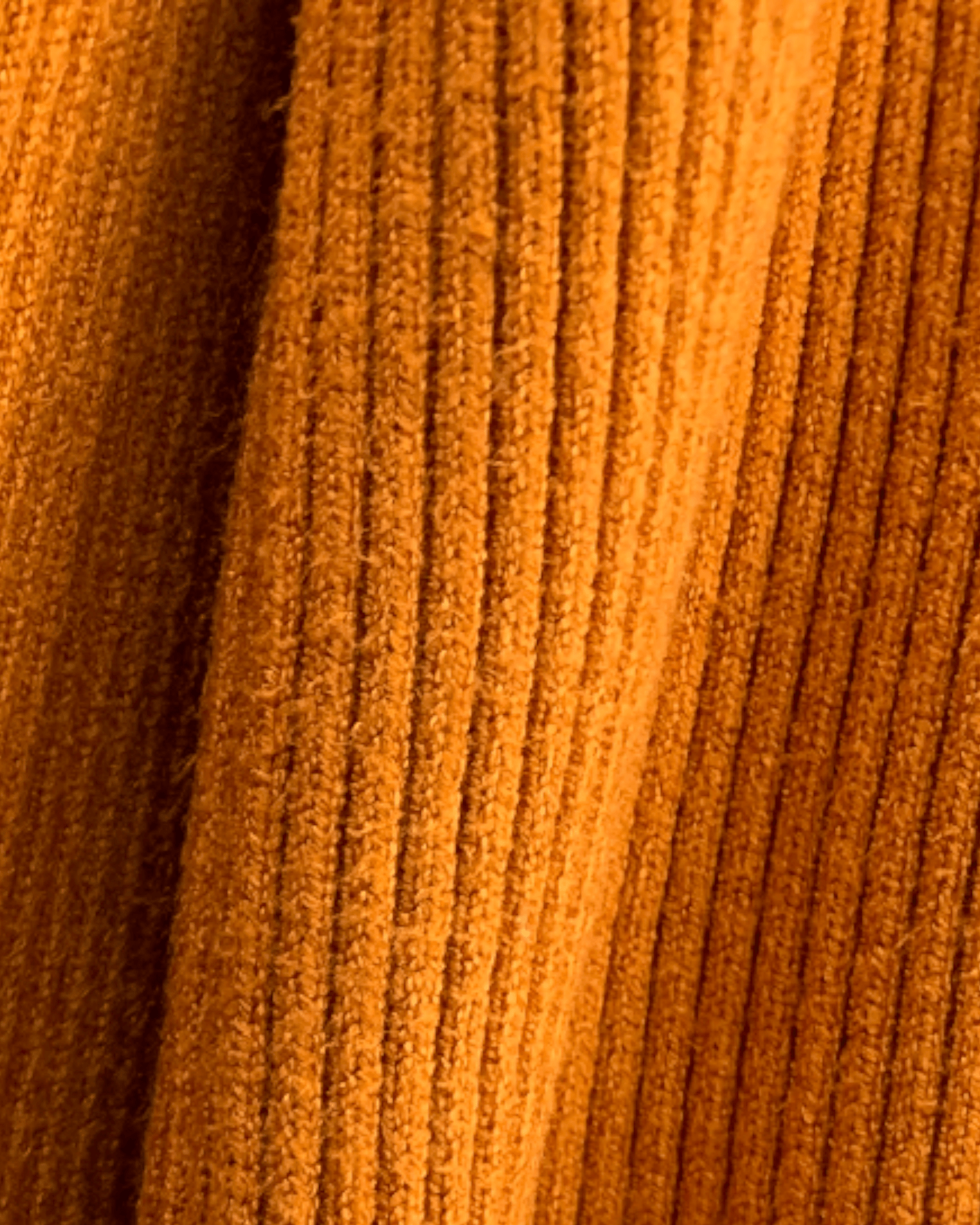 Color Button Ribbed Turtleneck - Zilvina