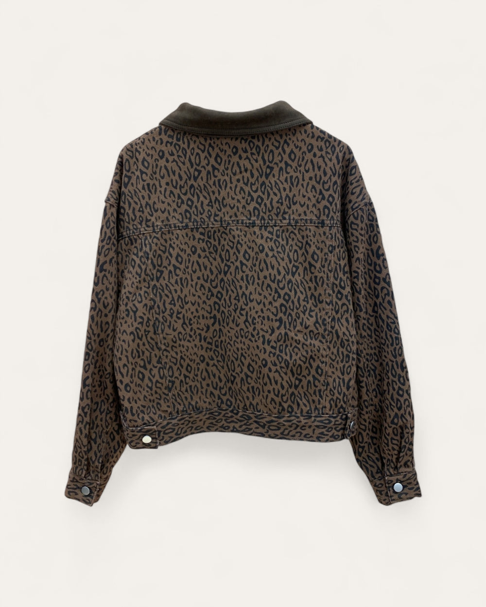 25182_BROWN
