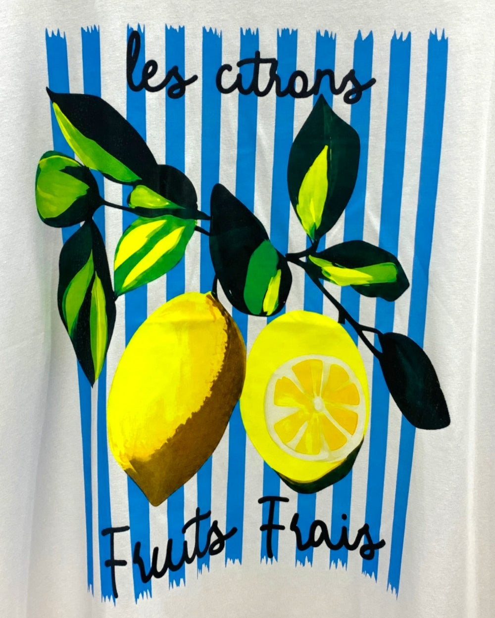 French Citrus Stripe Graphic T-Shirt - Zilvina