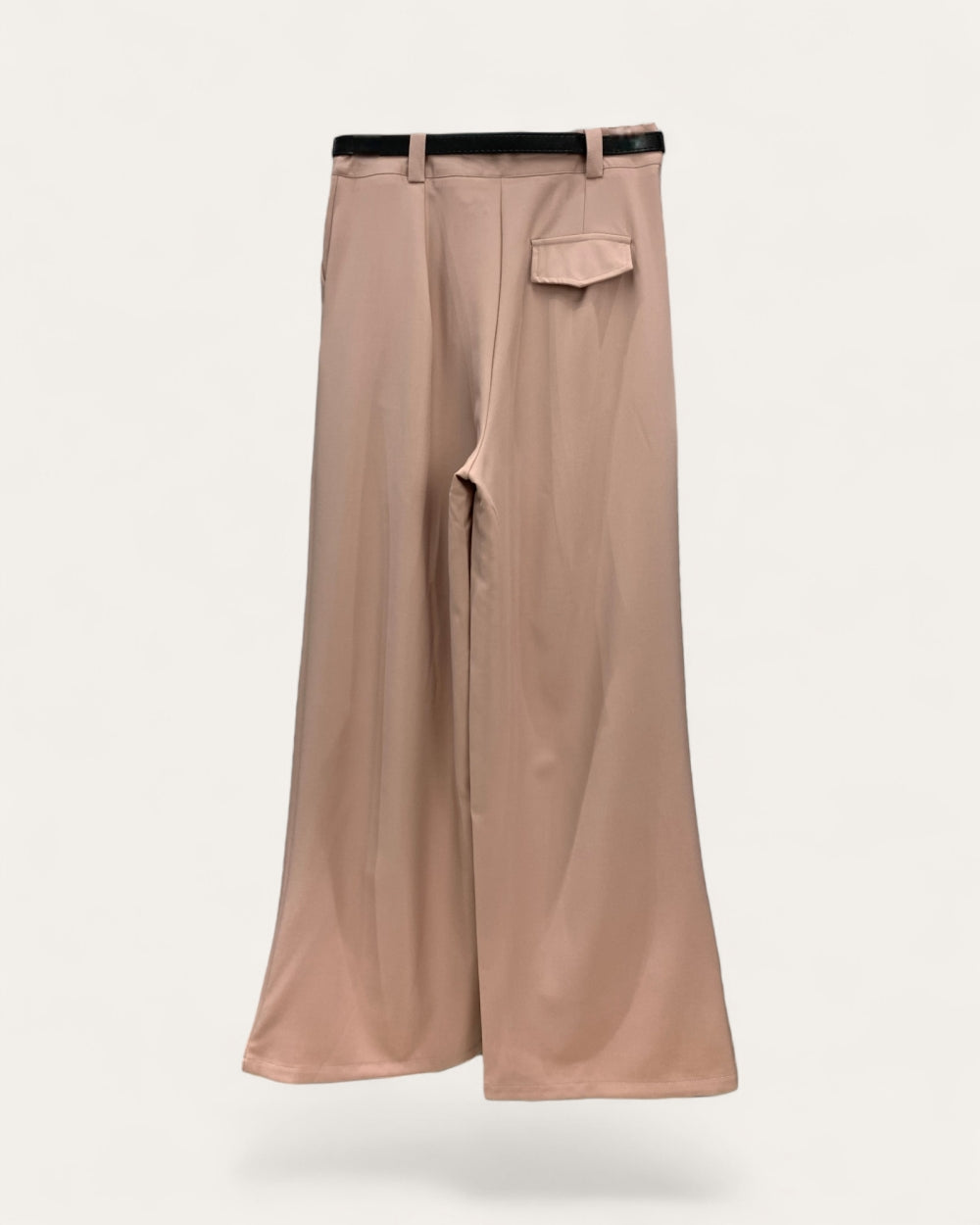 Pleated Wide - Leg Trousers - Zilvina