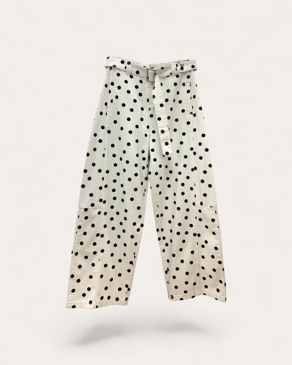 Polka Dot Wide Leg Pants - Zilvina