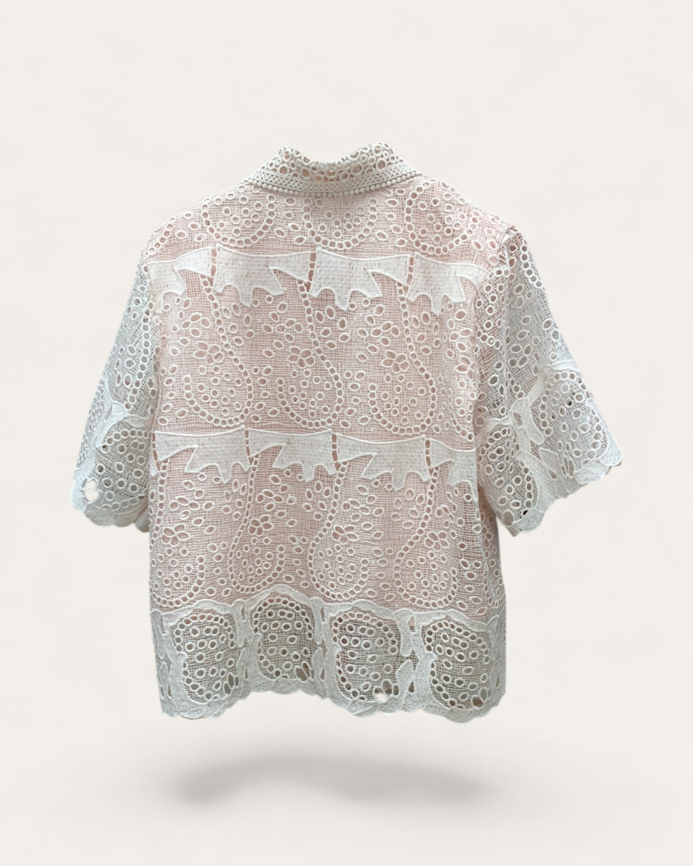Sheer Lace Button - Up Blouse - Zilvina