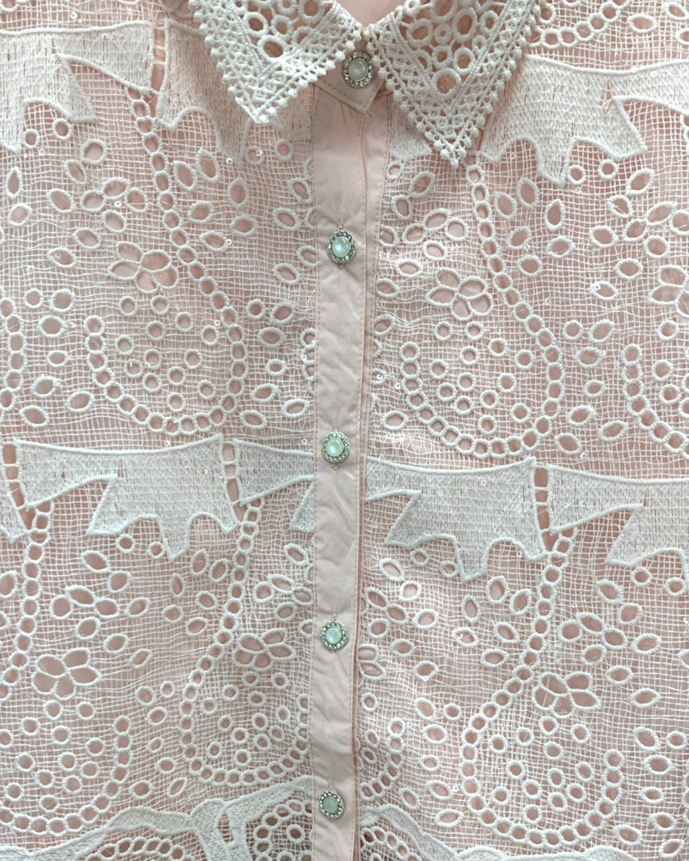 Sheer Lace Button - Up Blouse - Zilvina