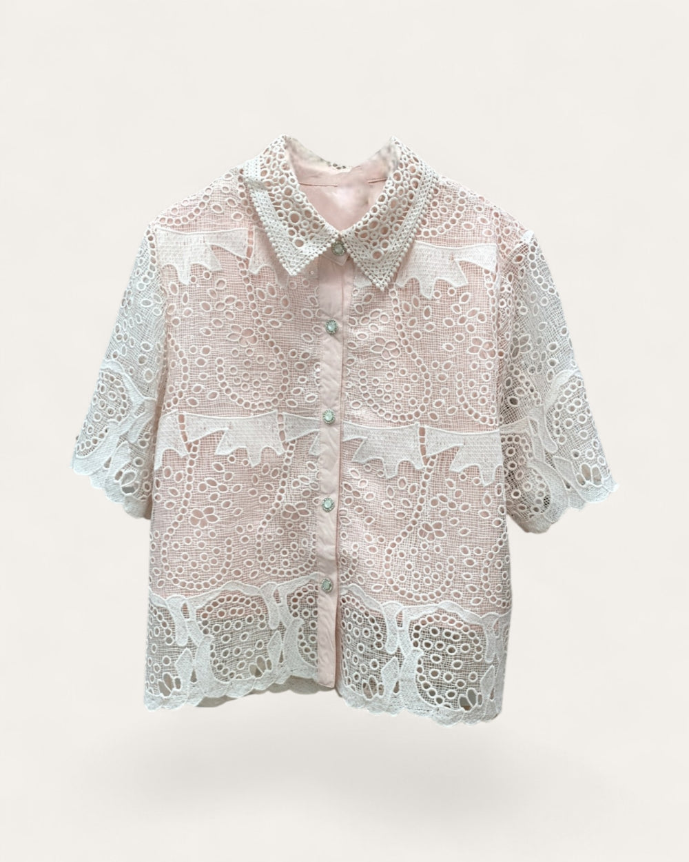 Sheer Lace Button - Up Blouse - Zilvina