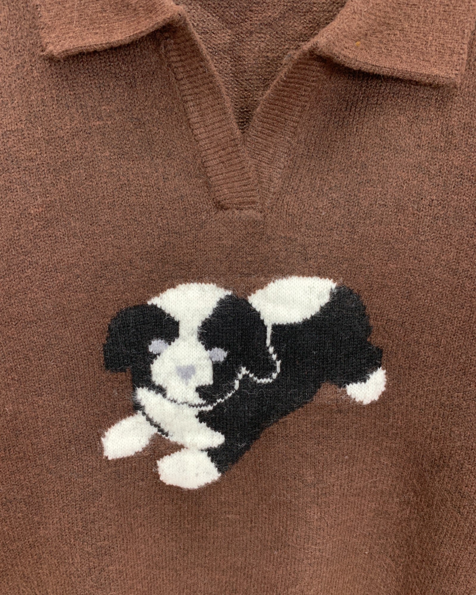 Puppy Polo Knit Sweater