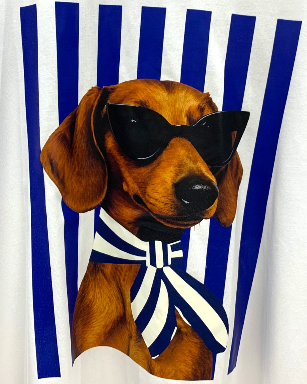Dachshund Graphic Tee - Zilvina