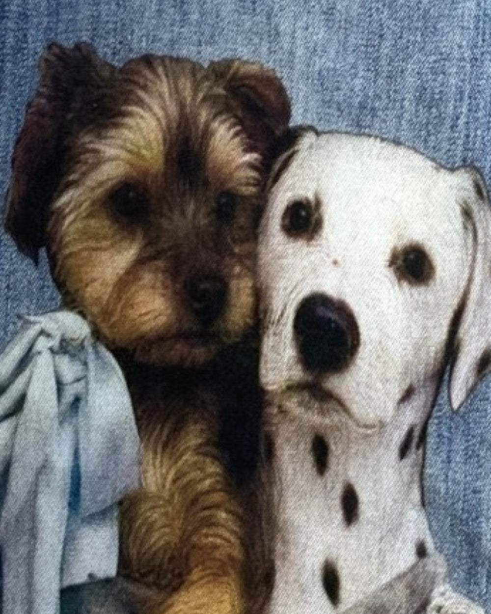Dog Print Straight - Leg Jeans with Scarf Detail - Zilvina