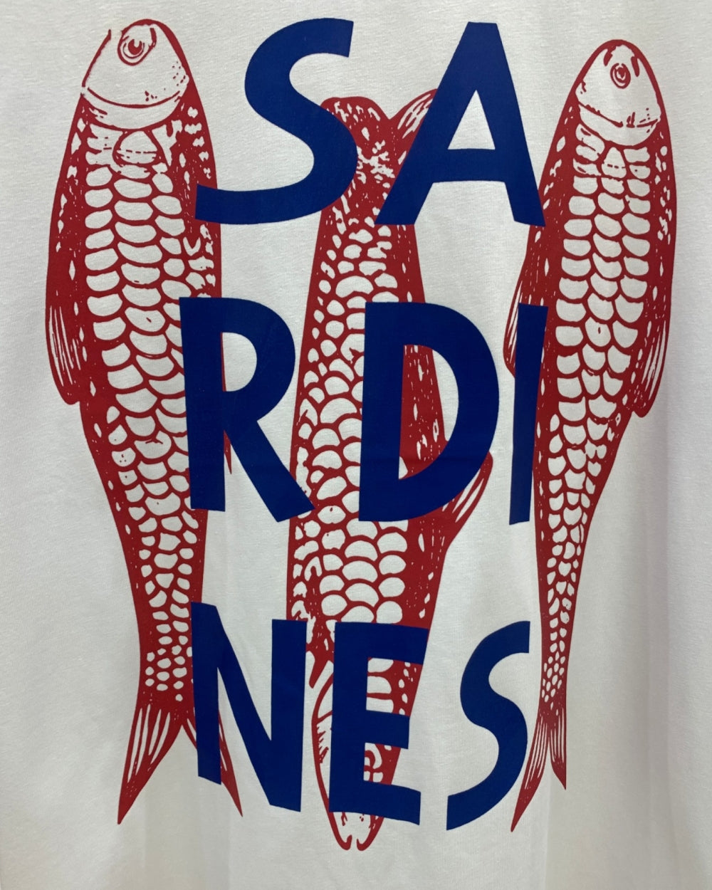 Sardines Graphic Oversized Tee - Zilvina