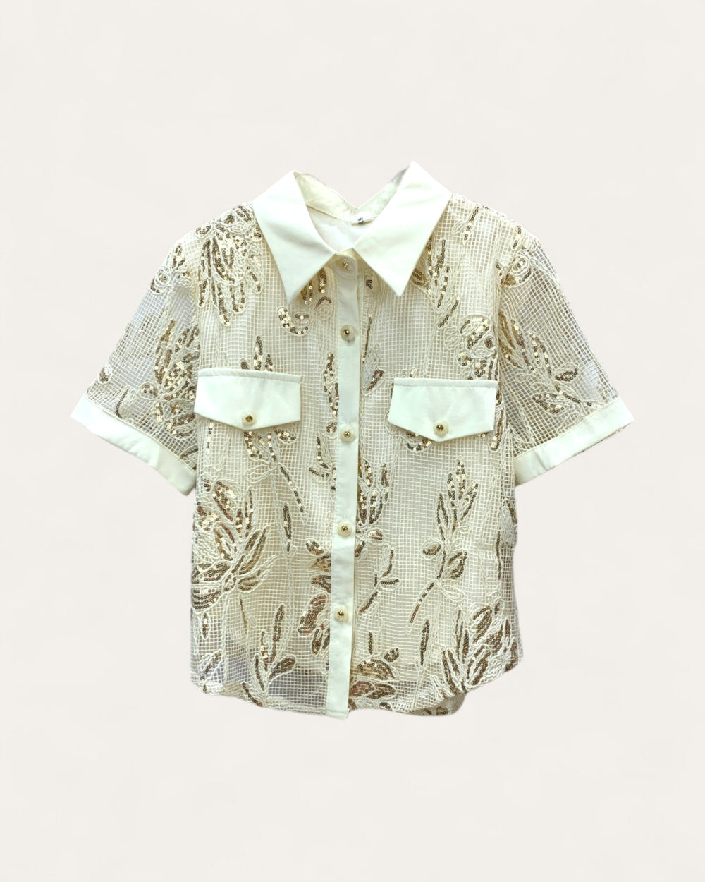 Sequin Embroidered Sheer Shirt Blouse - Zilvina